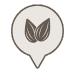 Almonds icon