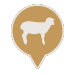 Lamb icon