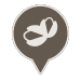 Nuts icon