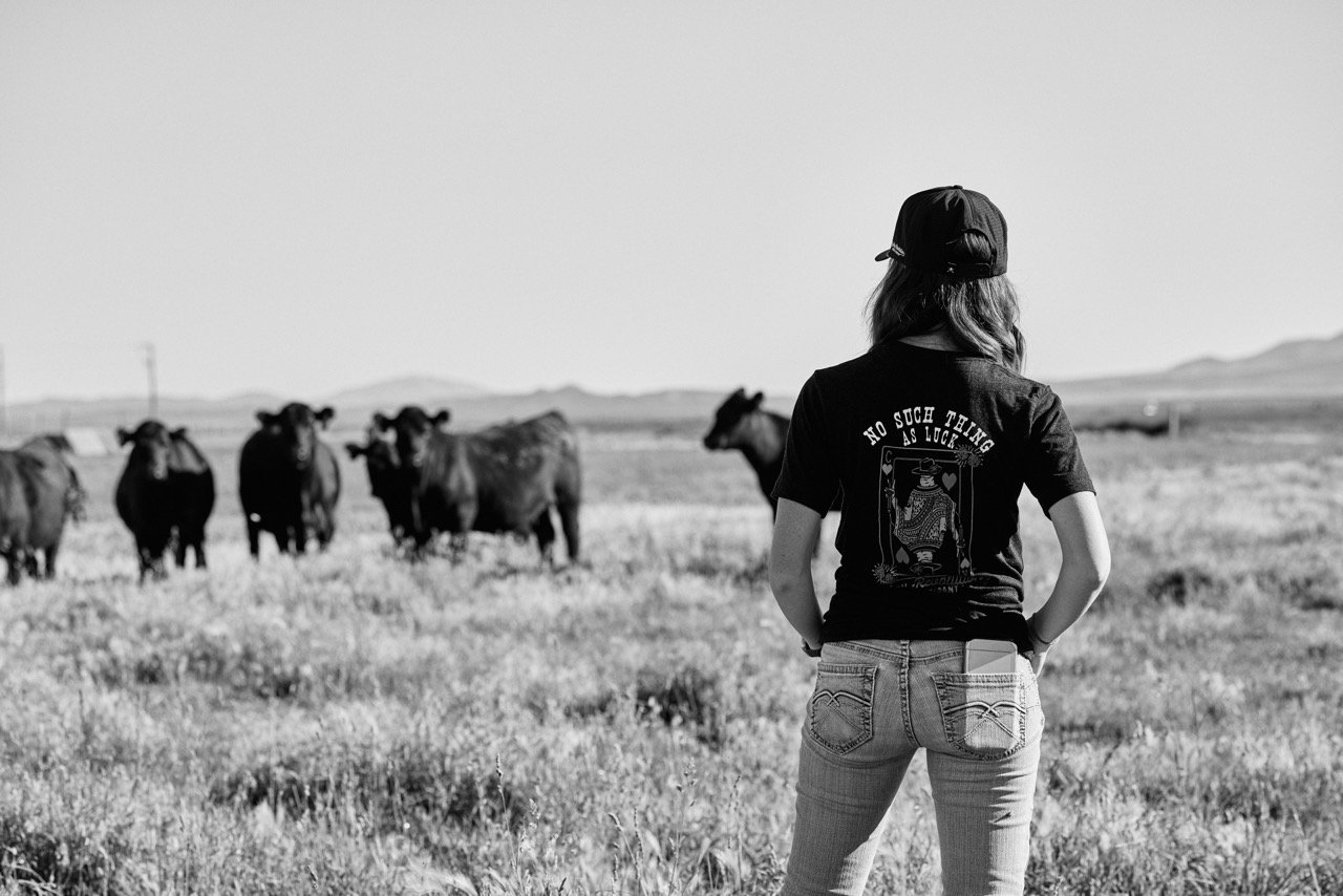 Jess Looking at Cows in Field Large