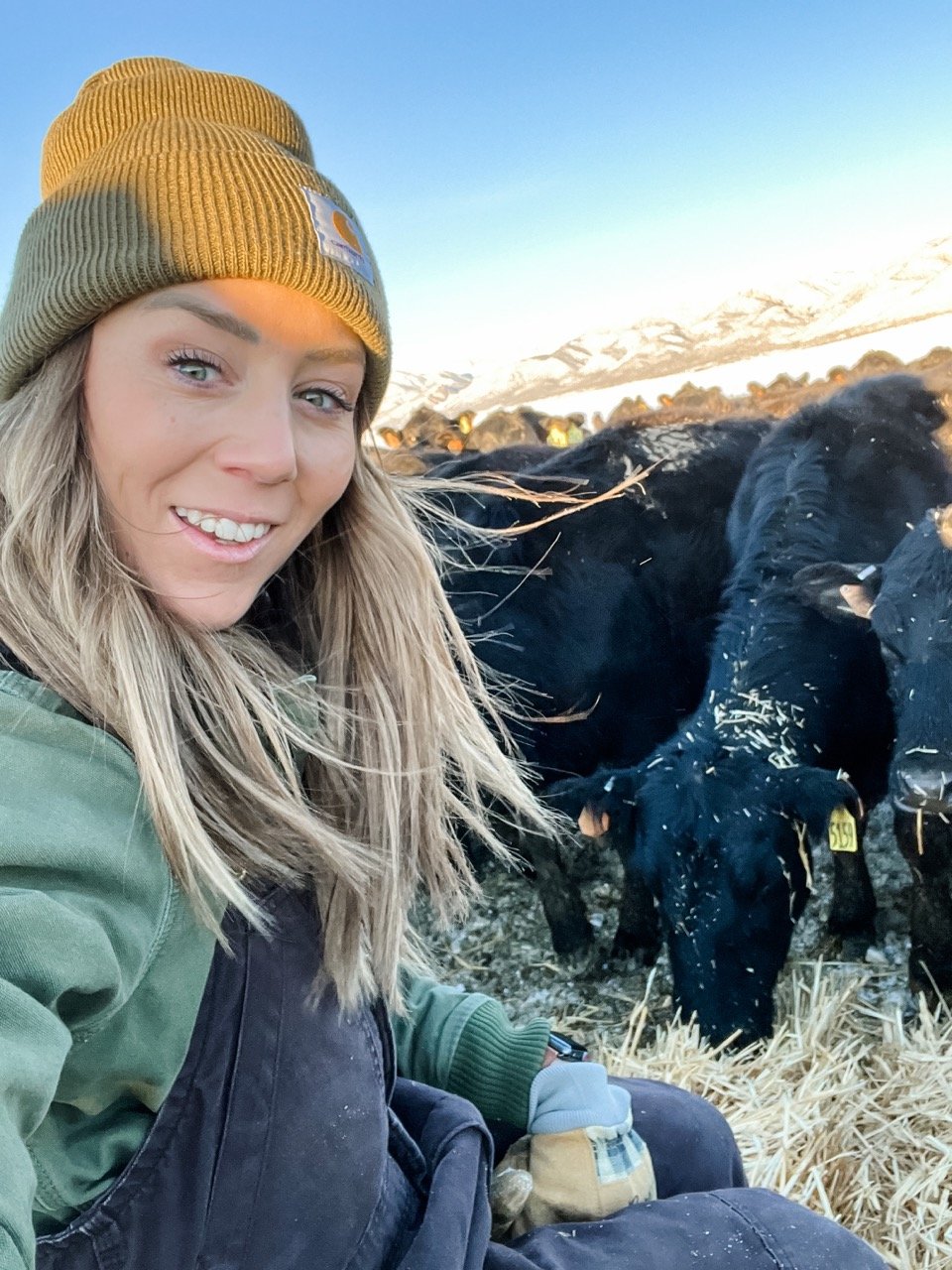 Jess with Cows Large