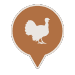 Turkey icon