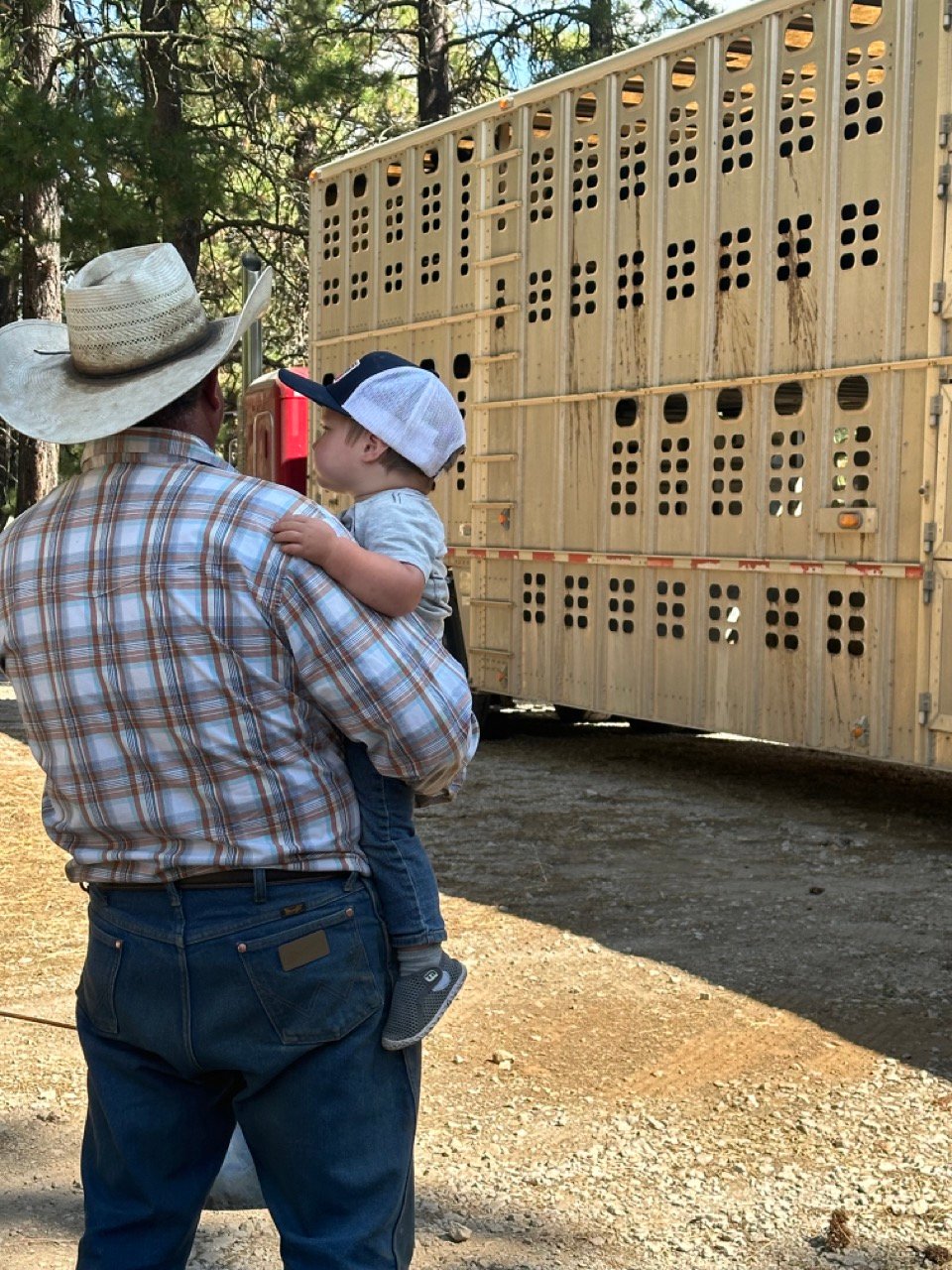 Circle Bar Beef 3475