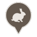 Rabbit icon