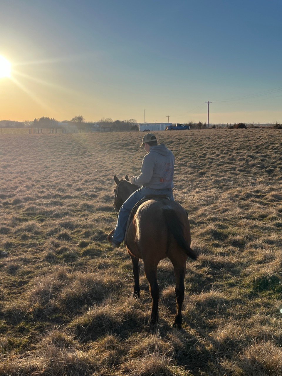 Diamond P Ranch 0750