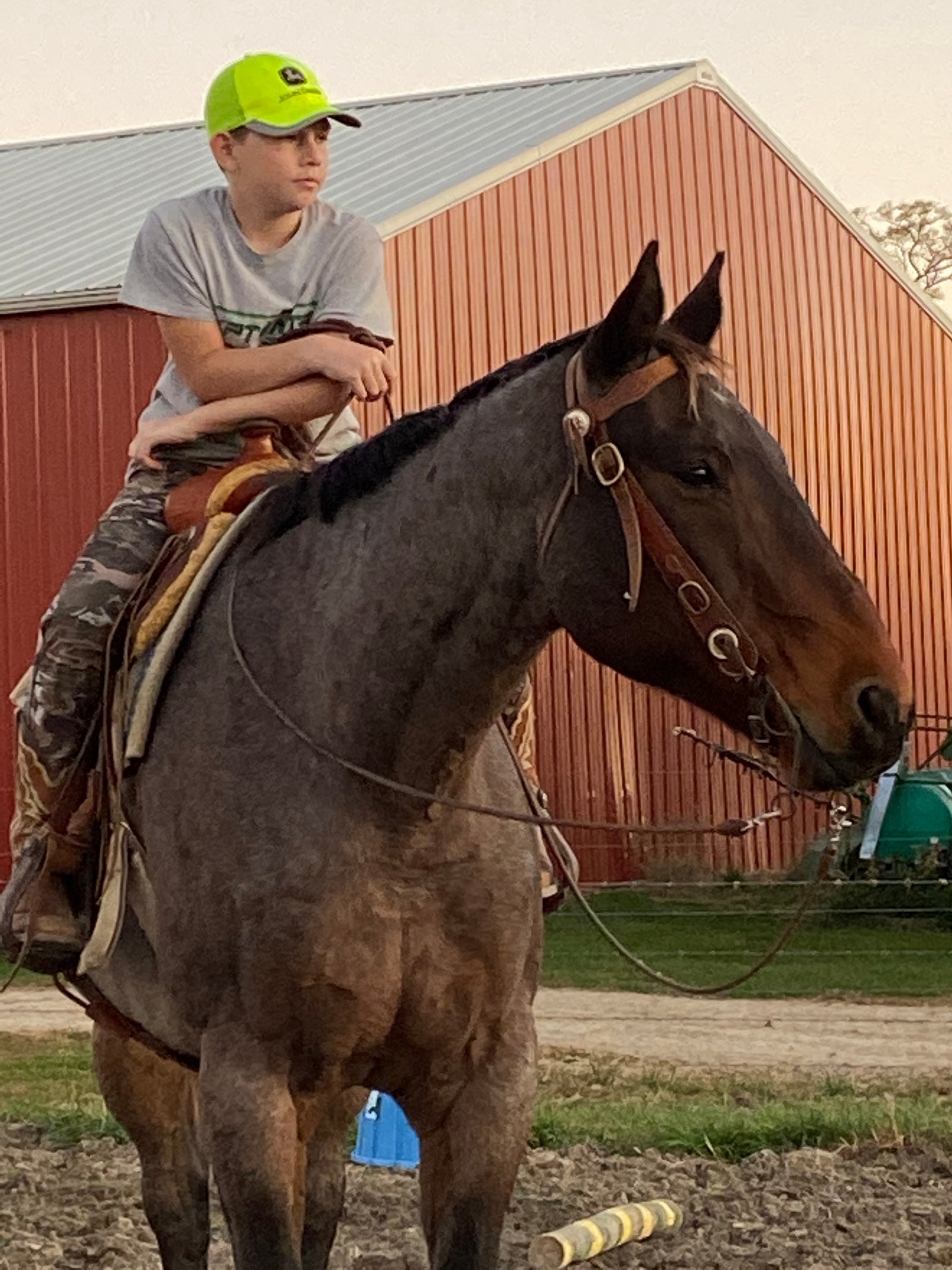 Diamond P Ranch 1262