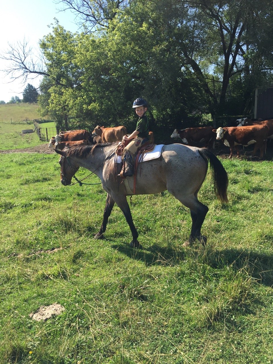 Diamond P Ranch 2818